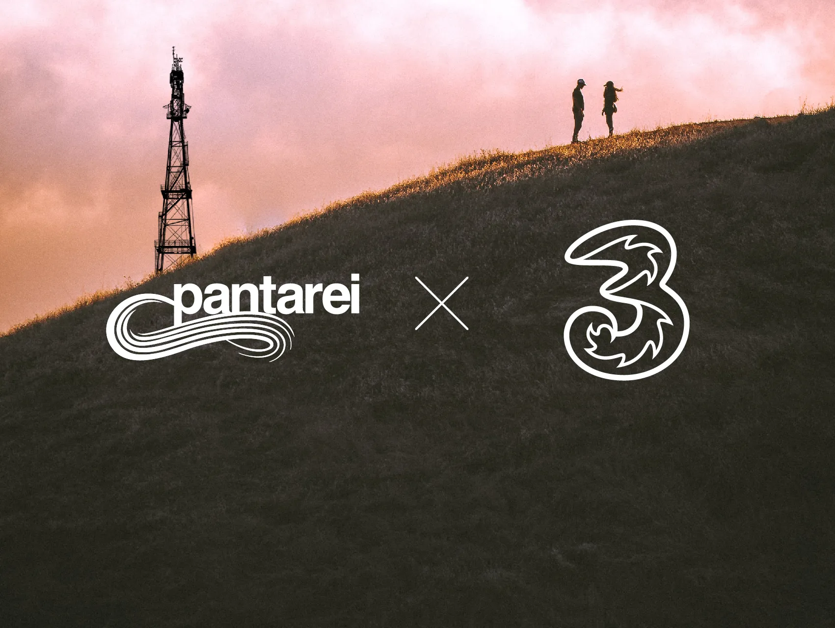Tri awards Pantarei with creative mandate for 17th year straight