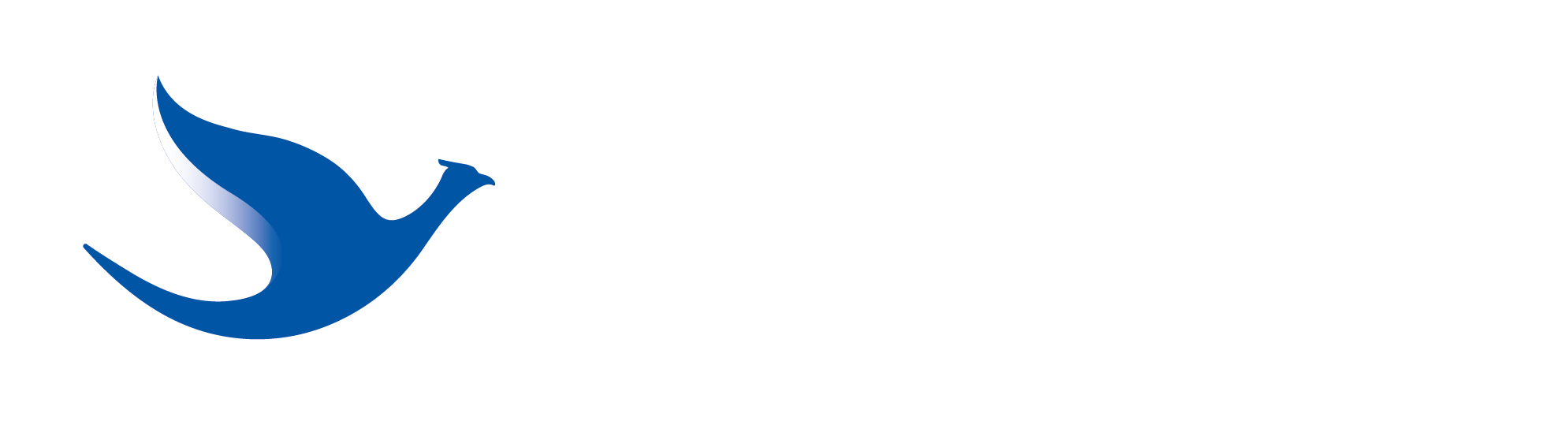 BlueBird